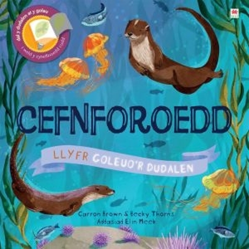 Паперова книга «Cyfres Goleuo'r Dudalen: Cefnforoedd», автор Керрон Браун - фото №1