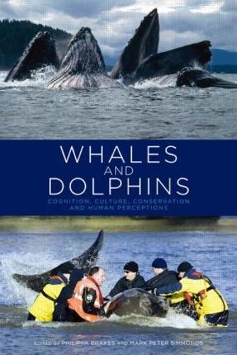 Паперова книга «Whales and Dolphins: Cognition, Culture, Conservation and Human Perceptions» - фото №1