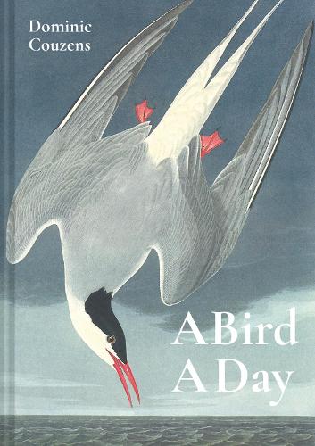 Паперова книга «A Bird A Day», автор Домінік Кузенс - фото №1