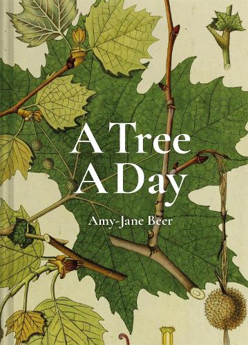 Бумажная книга «A Tree A Day», автор Эми-Джейн Бир - фото №1