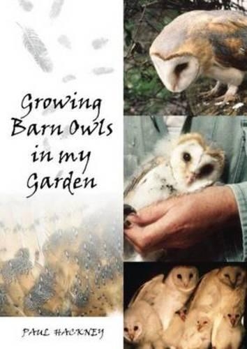 Бумажная книга «Growing Barn Owls in My Garden», автор Пол Хакни - фото №1