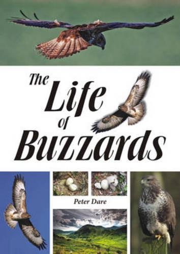 Бумажная книга «The Life of Buzzards», автор Питер Даре - фото №1