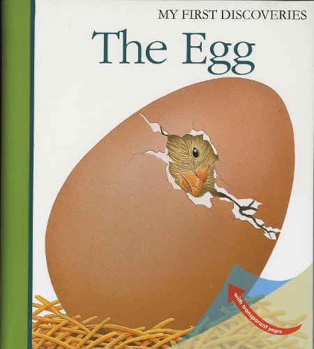 Бумажная книга «The Egg», автор Рене Меттлер - фото №1