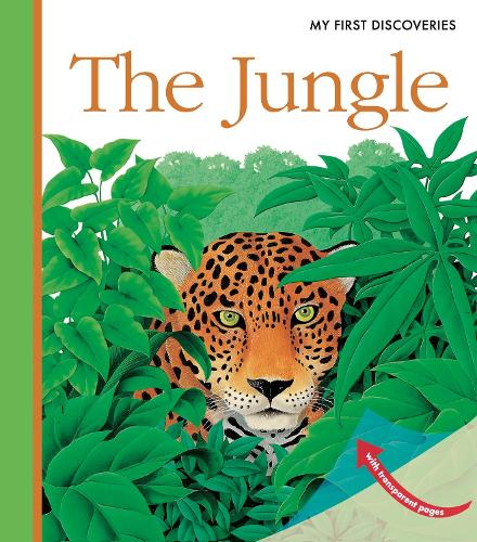 Бумажная книга «The Jungle», автор Рене Меттлер - фото №1