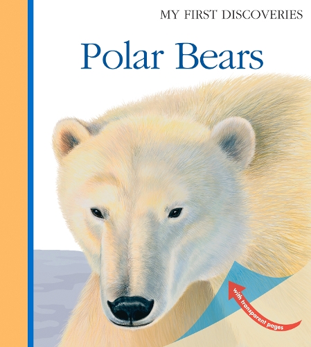 Паперова книга «Polar Bears», автор Лора Бур - фото №1