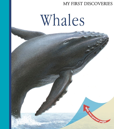 Паперова книга «Whales», авторів Клод Делафосс, Рауль Саутай, Уте Фур - фото №1