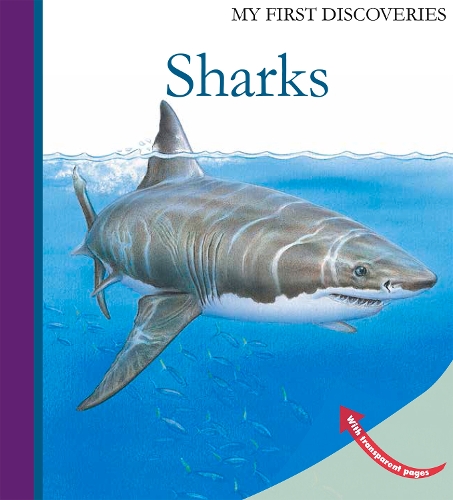Паперова книга «Sharks», авторів Рауль Саутай, Уте Фур - фото №1