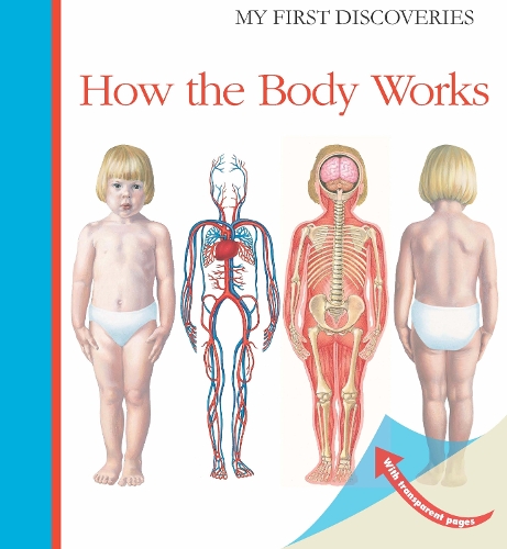 Бумажная книга «How the Body Works», автор Сильвен Пейролс - фото №1