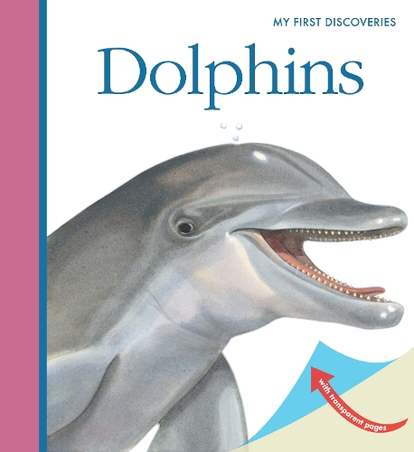 Паперова книга «Dolphins», автор Сильвен Пейрольс - фото №1