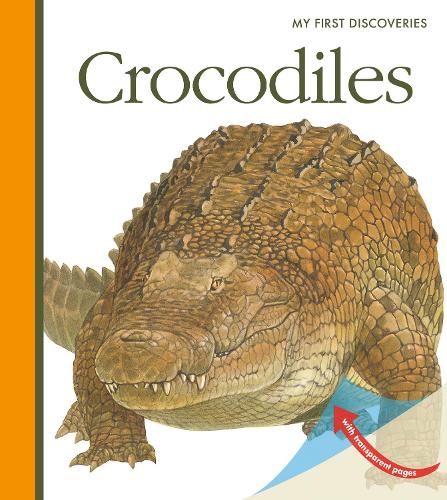 Паперова книга «Crocodiles», автор Сильвен Пейрольс - фото №1