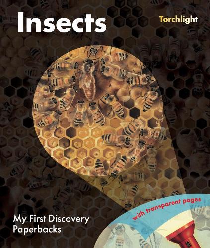 Паперова книга «Insects», автор Клод Делафосс - фото №1