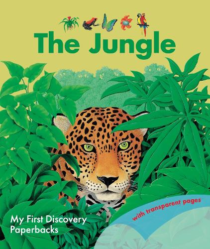 Бумажная книга «The Jungle», автор Рене Меттлер - фото №1