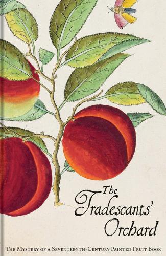 Бумажная книга «The Tradescants' Orchard: The Mystery of a Seventeenth-Century Painted Fruit Book», авторов Барри Джунипер, Ханнеке Гроотенбоер - фото №1
