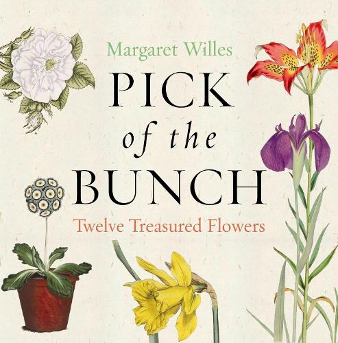 Бумажная книга «Pick of the Bunch: The Story of Twelve Treasured Flowers», автор Маргарет Уиллес - фото №1