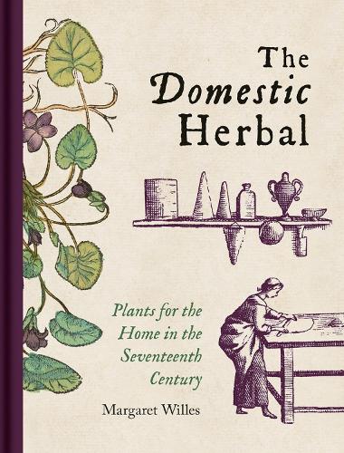 Паперова книга «Domestic Herbal, The: Plants for the Home in the Seventeenth Century», автор Маргарет Уіллес - фото №1