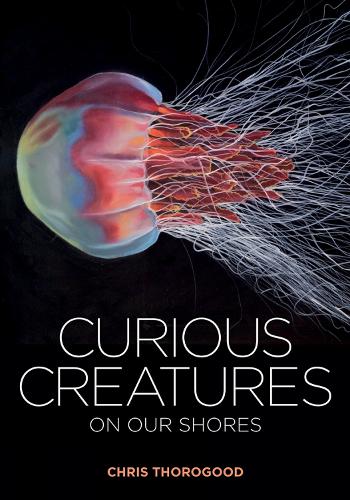 Паперова книга «Curious Creatures on our Shores», автор Кріс Торогуд - фото №1