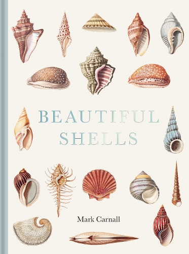 Паперова книга «Beautiful Shells», автор Марк Карналл - фото №1