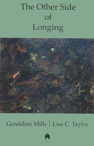 Паперова книга «The Other Side of Longing», авторів Джеральдін Міллс, Ліза К. Тейлор - фото №1