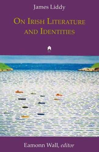 Бумажная книга «On Irish Literature and Identities», автор Джеймс Лидди - фото №1