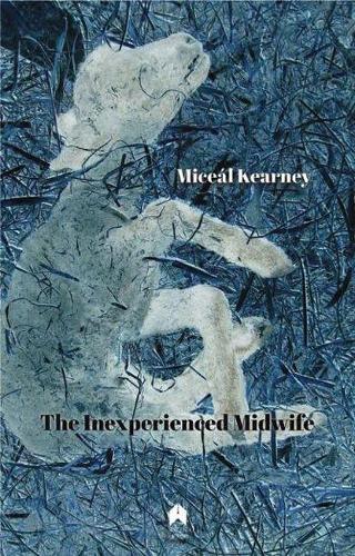 Бумажная книга «The Inexperienced Midwife», автор Микаэл Керни - фото №1