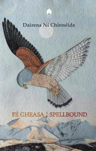 Паперова книга «Fé Gheasa / Spellbound», автор Дайрена Ні Чіннейде - фото №1