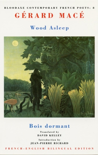 Бумажная книга «Wood Asleep: Bois dormant», автор Жерар Мейс - фото №1