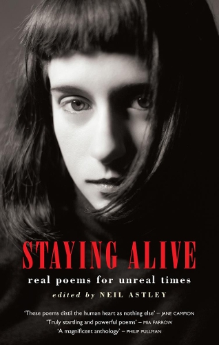 Бумажная книга «Staying Alive» - фото №1