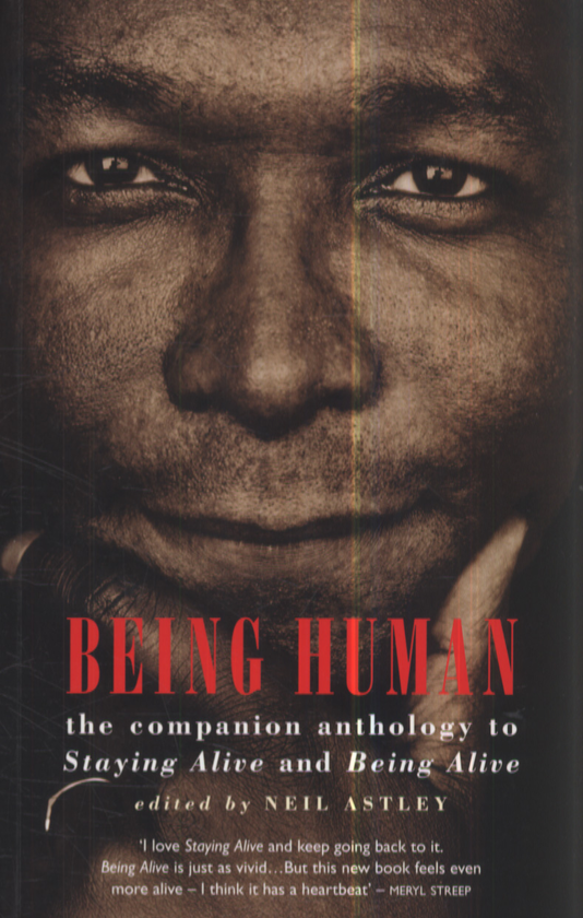Бумажная книга «Being Human» - фото №1