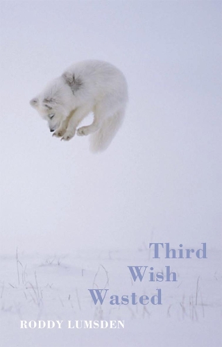 Паперова книга «Third Wish Wasted», автор Родді Ламсден - фото №1