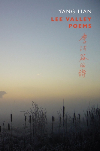 Бумажная книга «Lee Valley Poems», автор Ян Лянь - фото №1