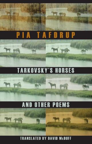 Бумажная книга «Tarkovsky's Horses and other poems», автор Пия Тафдруп - фото №1