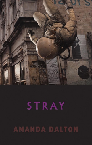 Паперова книга «Stray», автор Аманда Далтон - фото №1