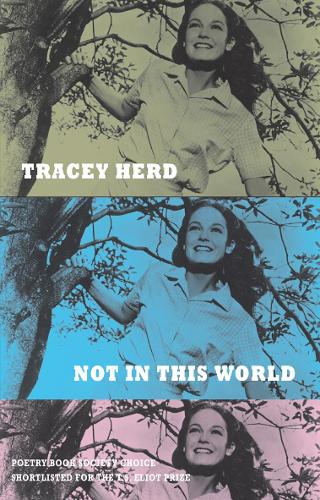 Бумажная книга «Not in This World», автор Трейси Херд - фото №1