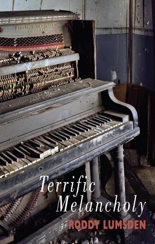 Паперова книга «Terrific Melancholy», автор Родді Ламсден - фото №1