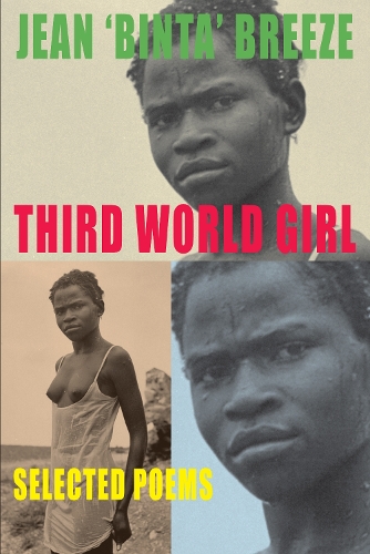 Бумажная книга «Third World Girl: Selected Poems», автор Жан Бинта Бриз - фото №1