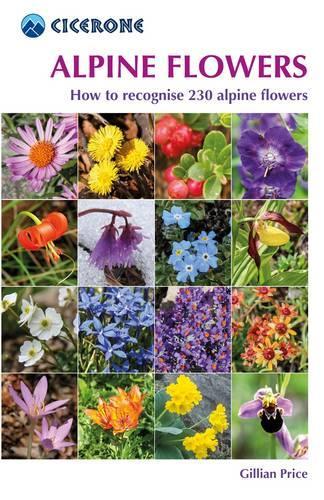 Паперова книга «Alpine Flowers: How to recognise 230 alpine flowers», автор Джилліан Прайс - фото №1