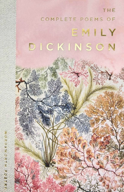 Бумажная книга «The Selected Poems of Emily Dickinson», автор Эмили Дикинсон - фото №1