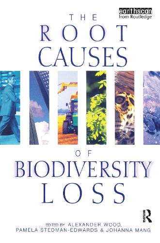 Паперова книга «The Root Causes of Biodiversity Loss», авторів Олександр Вуд, Йоганна Манґ, Памела Стедман-Едвардс - фото №1
