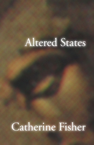 Паперова книга «Altered States», автор Кетрін Фішер - фото №1