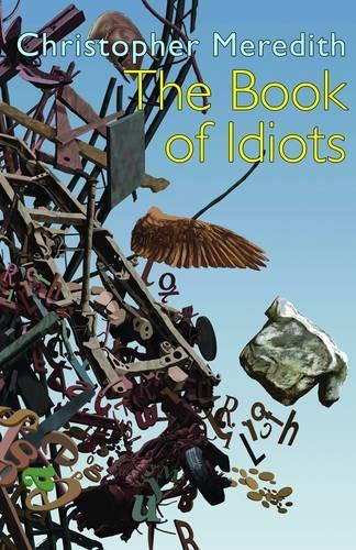 Бумажная книга «The Book of Idiots», автор Кристофер Мередит - фото №1