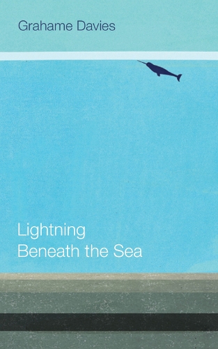 Паперова книга «Lightning Beneath the Sea», автор Грем Девіс - фото №1