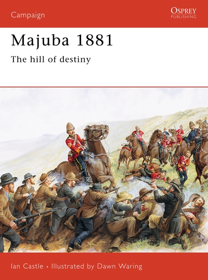 Бумажная книга «Majuba 1881» - фото №1