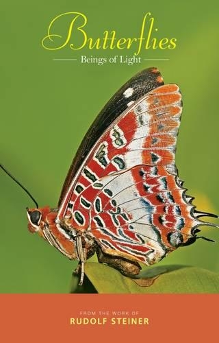 Бумажная книга «Butterflies: Beings of Light», автор Рудольф Штайнер - фото №1