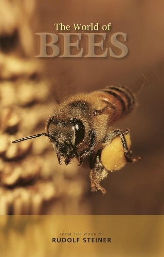 Бумажная книга «The World of Bees», автор Рудольф Штайнер - фото №1