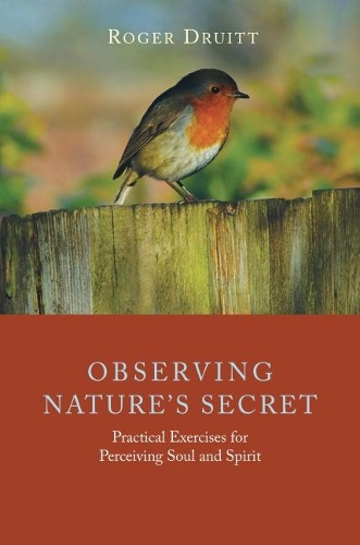 Бумажная книга «Observing Nature's Secret: Practical Exercises for Perceiving Soul and Spirit», автор Роджер Друитт - фото №1
