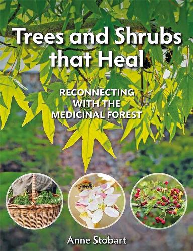 Бумажная книга «Trees and Shrubs that Heal: Reconnecting With The Medicinal Forest», автор Энн Стобарт - фото №1