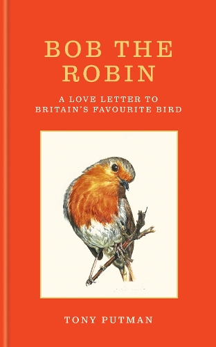 Паперова книга «Bob the Robin: A love letter to Britain’s favourite bird», автор Тоні Путман - фото №1
