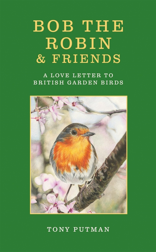 Паперова книга «Bob the Robin & Friends: A Love Letter to British Garden Birds», автор Тоні Путман - фото №1
