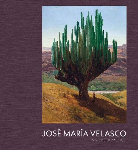 Бумажная книга «Jose Maria Velasco: A View of Mexico», авторов Дэниел Собрино Ралстон, Декстер Далвуд - фото №1