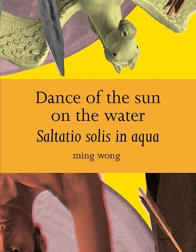 Бумажная книга «2025 National Gallery Artist in Residence: Ming Wong», автор Прийеш Мистри - фото №1